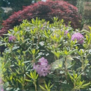 After Holiday Sale on my Closet